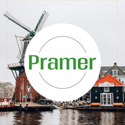 Pracownik szklarni z papryką - bez języka - praca w Holandii