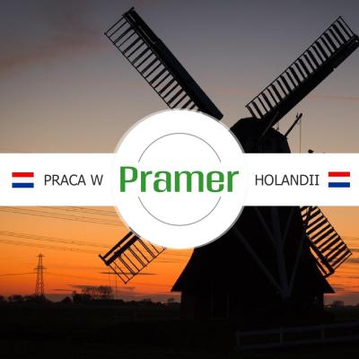Pracownik sortowni marchewki - dla par